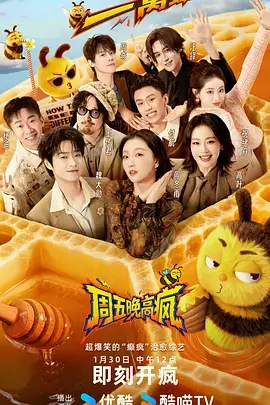 夏日狂想 综艺 2025